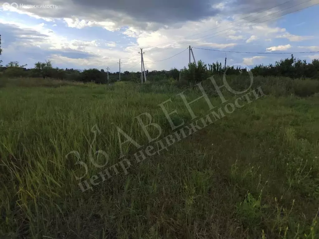 Участок в Воронежская область, Семилуки (8 м) - Фото 1