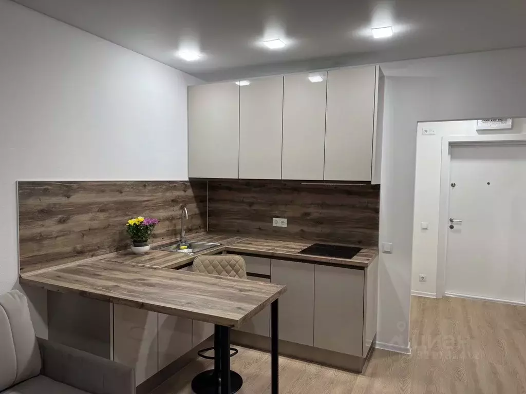 Студия Москва ул. Трехполье, 6к1 (24.0 м) - Фото 0