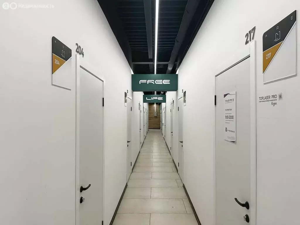 Офис (29.3 м) - Фото 2