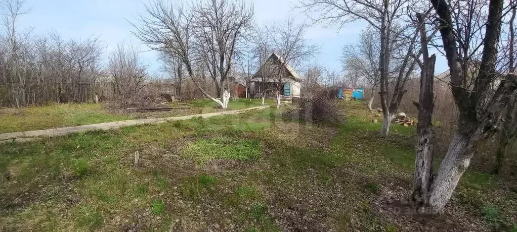 Участок в Саратовская область, Энгельсский район, Новопушкинское ... - Фото 0