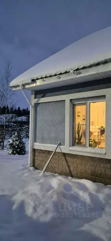 Таунхаус в Ленинградская область, Выборгский район, Рощино пгт проезд ... - Фото 2