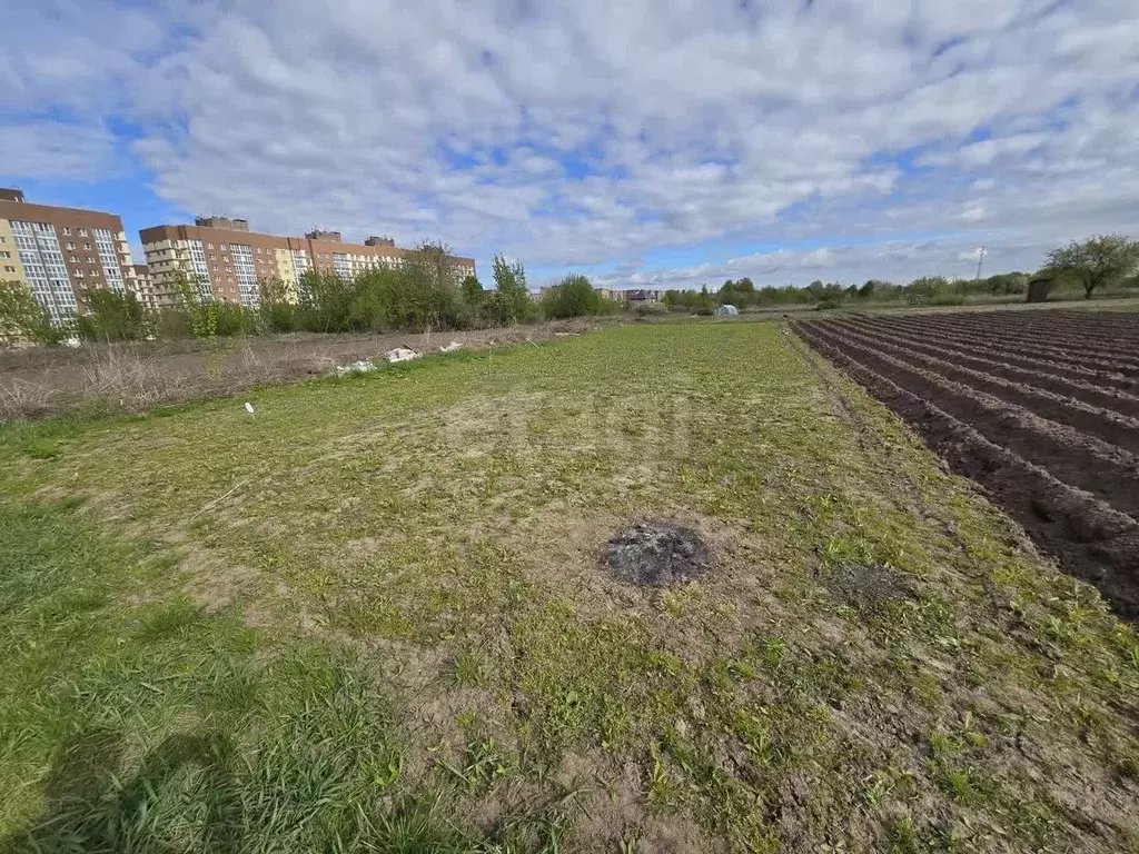 Участок в Брянская область, Брянский район, Снежское с/пос, пос. ... - Фото 2