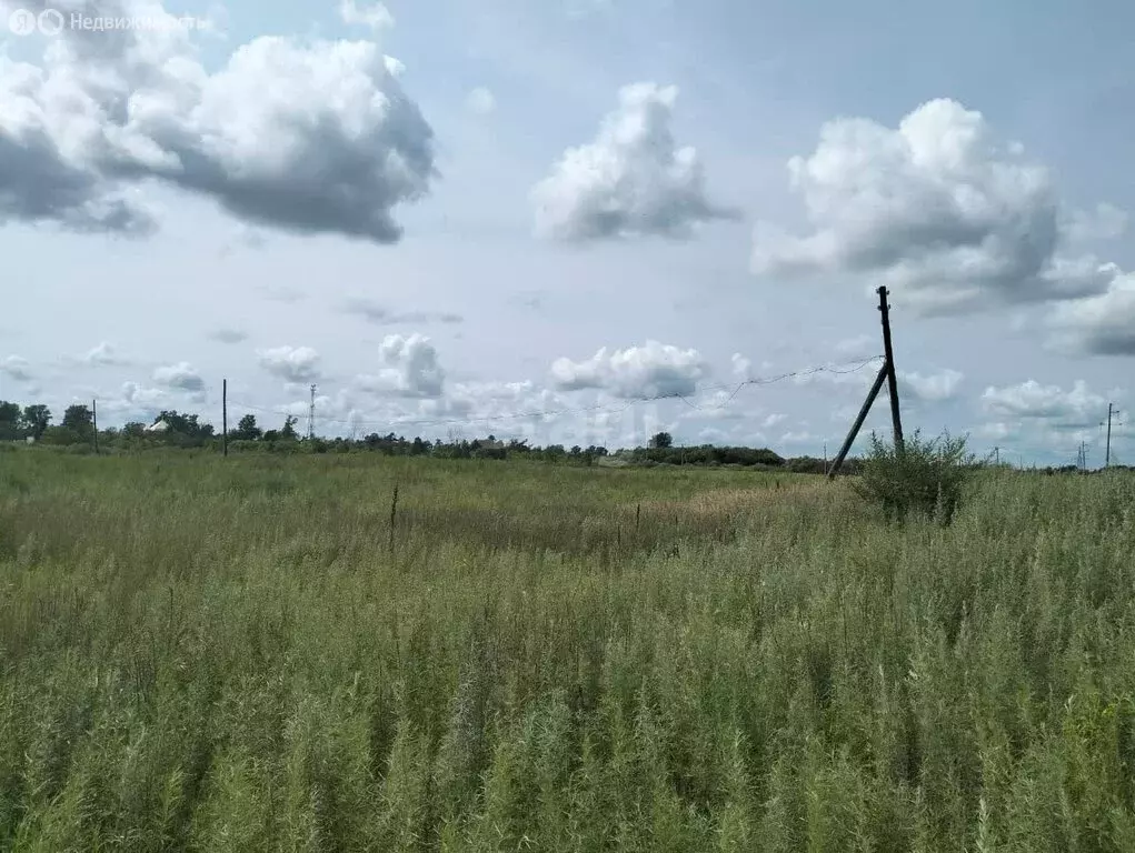 Участок в Амурская область, Благовещенский муниципальный округ, село ... - Фото 0