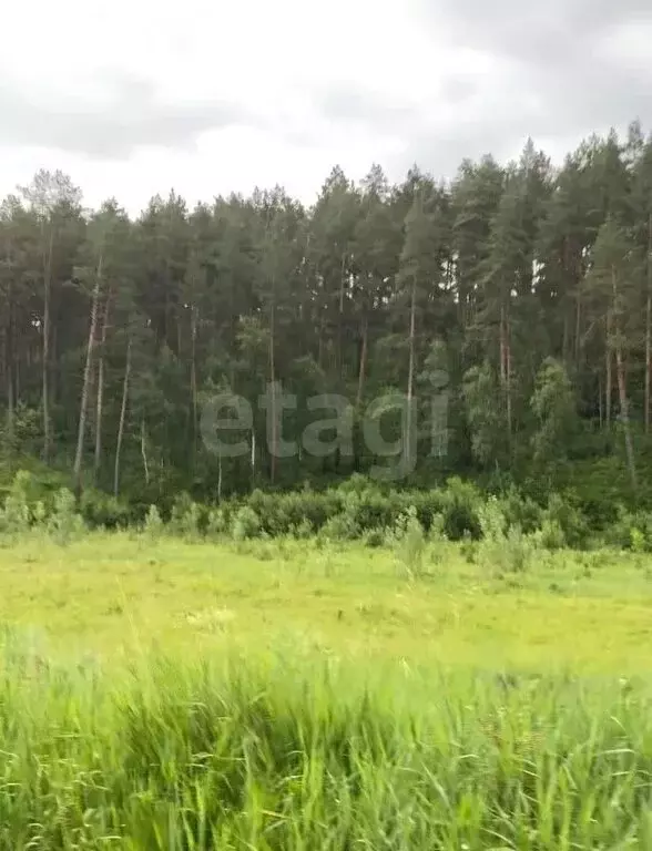 Участок в Майминский район, село Манжерок (10 м) - Фото 0