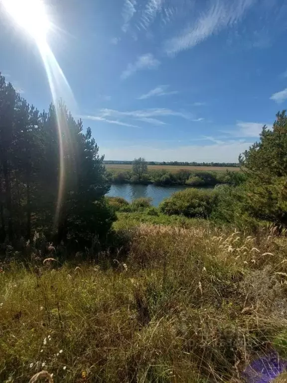 Участок в Владимирская область, Камешковский муниципальный округ, д. ... - Фото 1