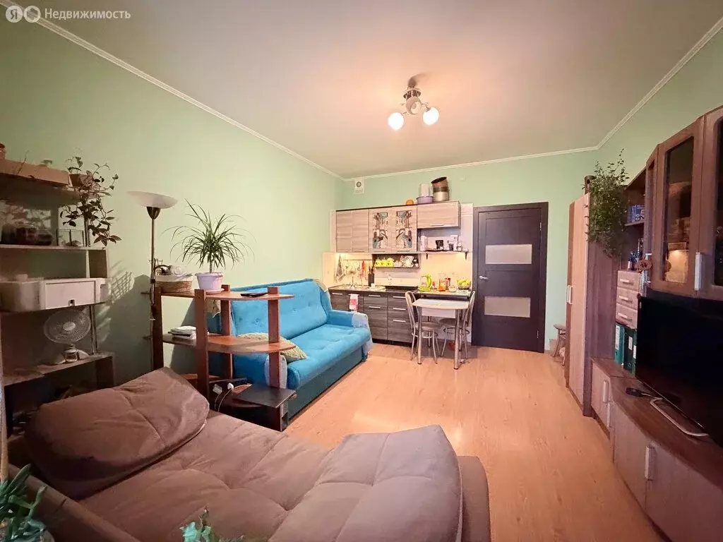 Квартира-студия: Кудрово, Европейский проспект, 8 (25 м) - Фото 1