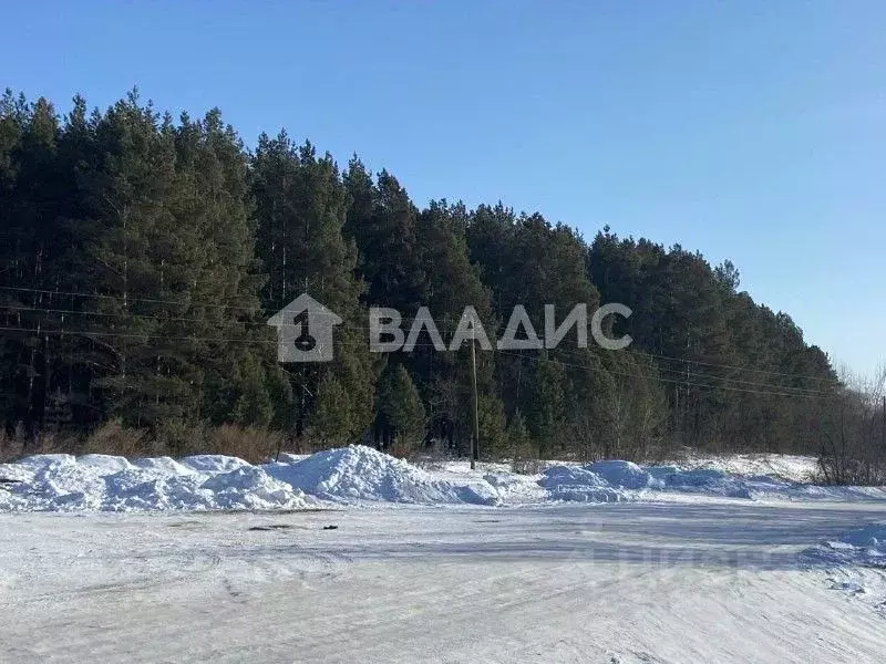 Участок в Алтай, Турочакский район, с. Тулой  (100.0 сот.) - Фото 0