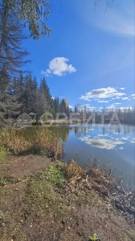 Участок в Свердловская область, Тугулымский муниципальный округ, с. ... - Фото 1