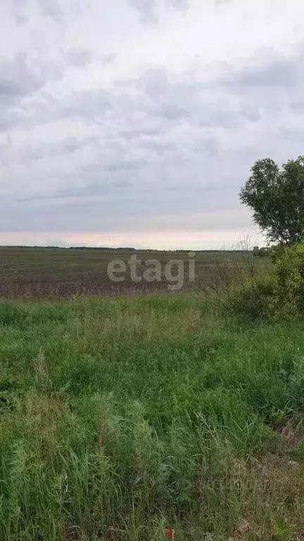 Участок в Амурская область, Свободненский район, с. Дмитриевка  ... - Фото 0