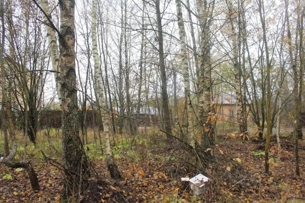 Участок в Москва пос. Рогово, ул. Заречная, 69 (9.23 сот.) - Фото 2