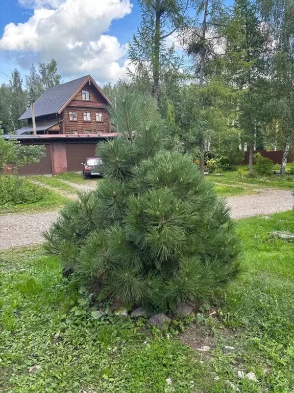 Дом в Московская область, Сергиев Посад Бульварная ул., 34 (200 м) - Фото 1