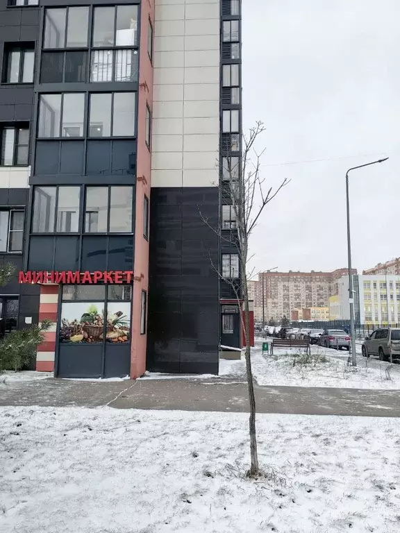 Помещение свободного назначения в Московская область, Щелково Финский ... - Фото 2