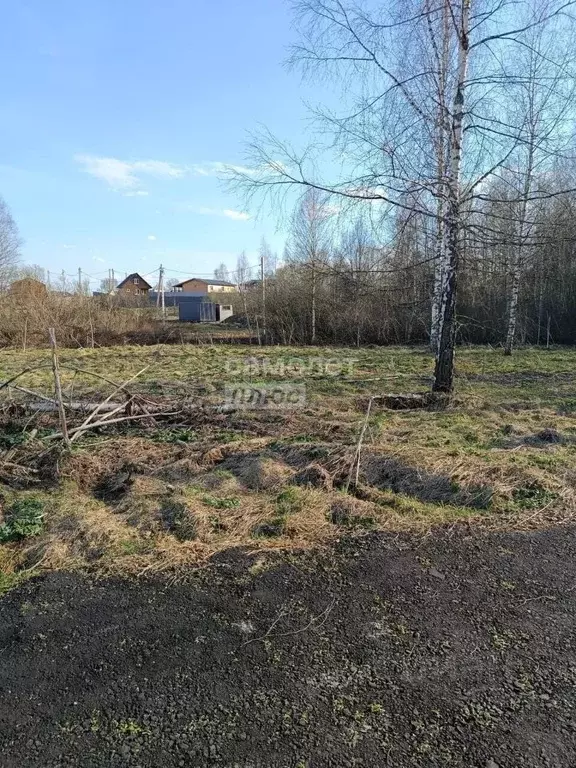 Участок в Московская область, Дмитровский муниципальный округ, д. ... - Фото 2