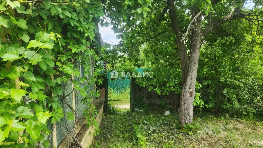 Участок в Нижегородская область, Бор Водник-1 СНТ, 90 (6.8 сот.) - Фото 2