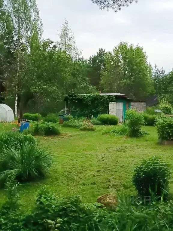 Дом в Ленинградская область, Лужский район, Мшинское с/пос, Сказка СНТ ... - Фото 1