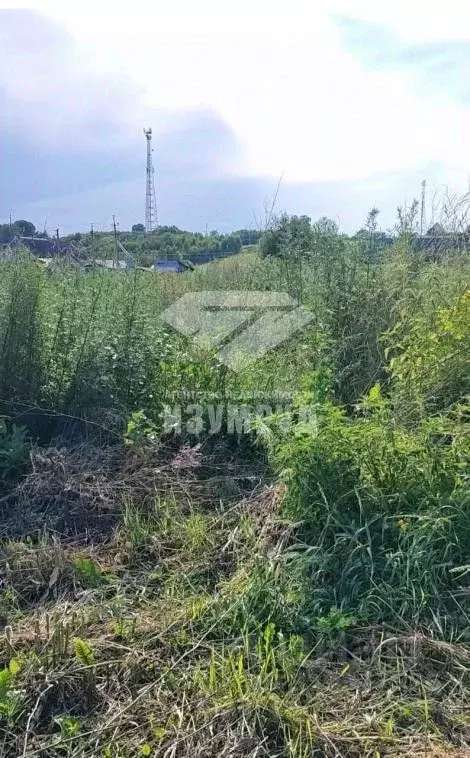 Участок в Кемеровская область, Кемеровский район, д. Береговая ... - Фото 1