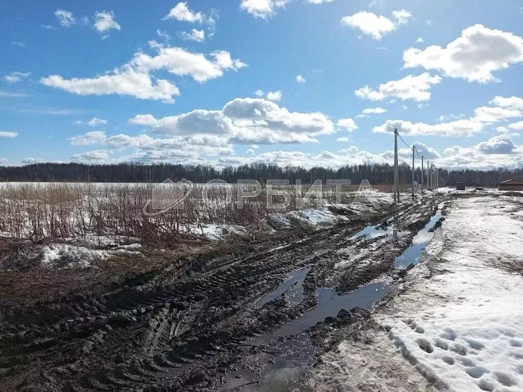 Участок в Тюменская область, Тюменский муниципальный округ, ... - Фото 1