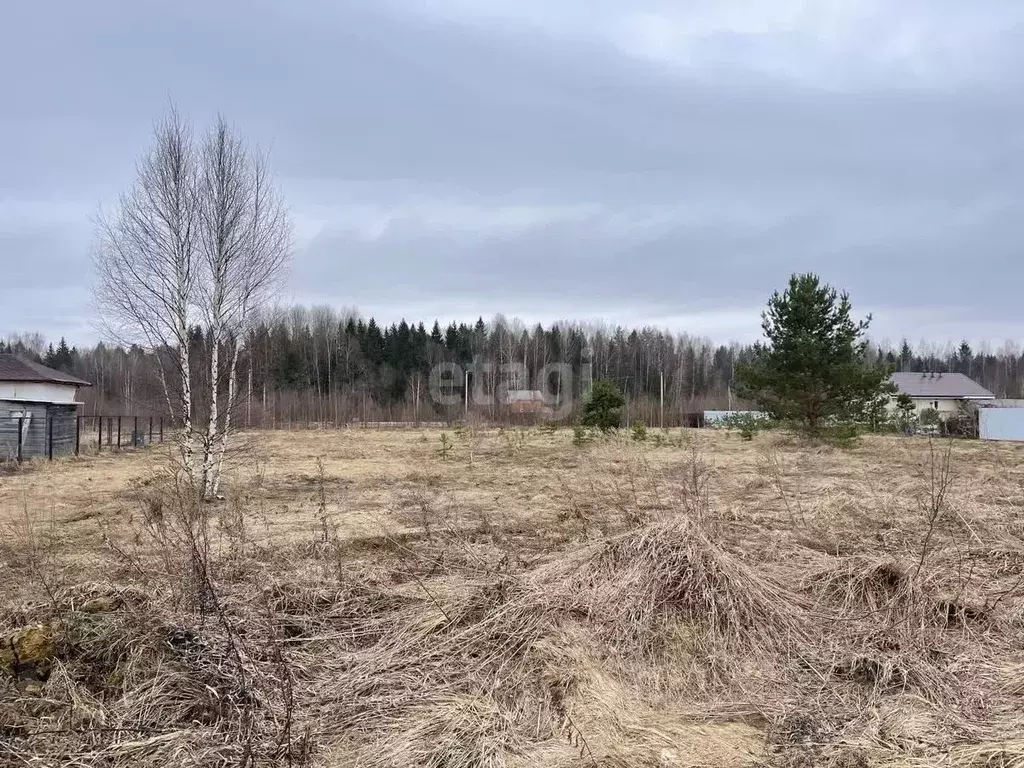 Участок в Московская область, Клин городской округ, Малинаград СНТ  ... - Фото 1