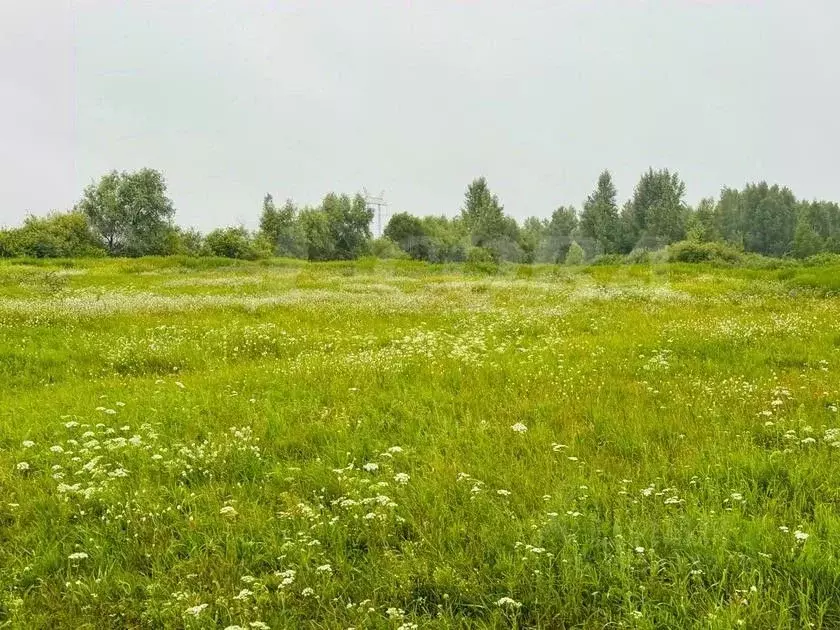 Участок в Тюменская область, Тюменский район, с. Щербак  (7.1 сот.) - Фото 0