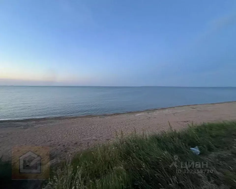 Участок в Крым, Ленинский район, Глазовское с/пос, Маяк СНТ  (4.0 ... - Фото 2