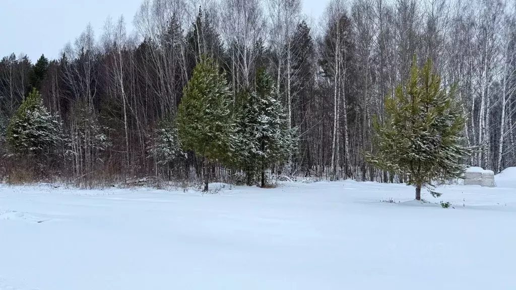 Участок в Татарстан, Высокогорский район, Семиозерское с/пос, с. ... - Фото 2