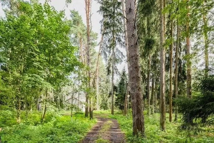 Участок в Московская область, Красногорск городской округ, пос. ... - Фото 2