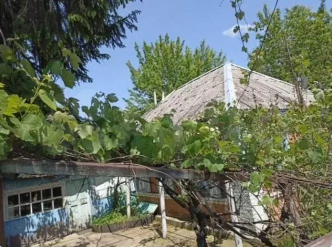 Дом в Ставропольский край, Новоалександровский муниципальный округ, ... - Фото 1