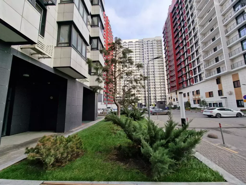 Студия Ростовская область, Ростов-на-Дону просп. Соколова, 68/118В ... - Фото 2