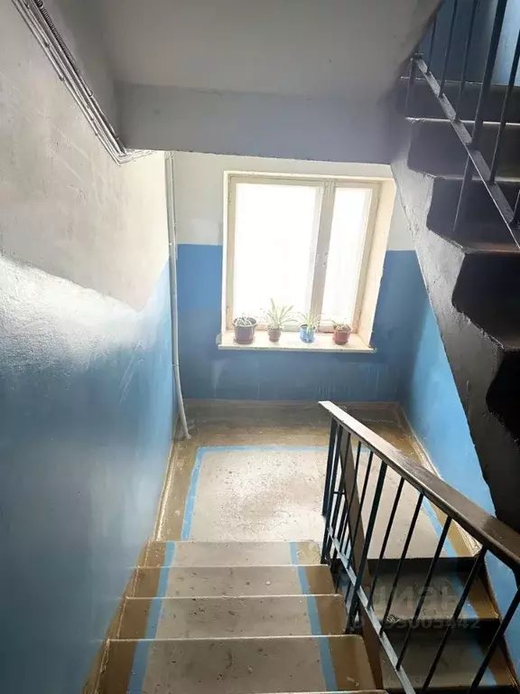 1-к кв. Нижегородская область, Кстово 2-й мкр, 22 (32.0 м) - Фото 2