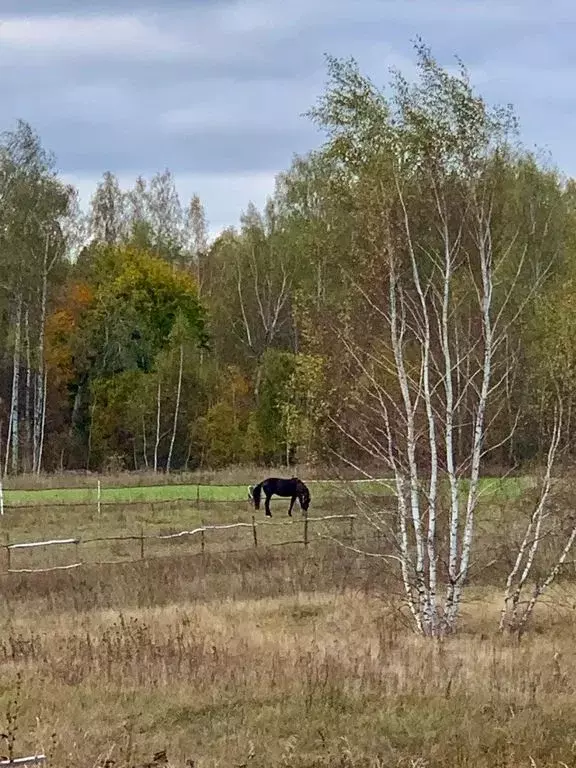 Дом в Московская область, Серпухов городской округ, с. Турово ул. ... - Фото 1