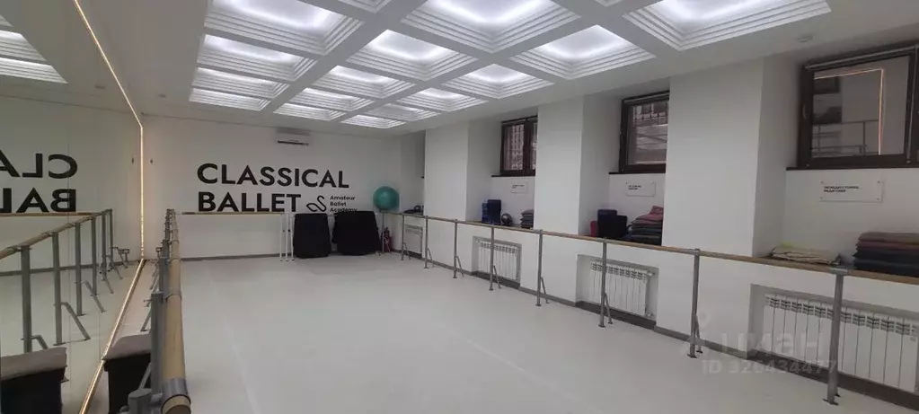 Торговая площадь в Москва ул. Большая Дмитровка, 20С2 (196 м) - Фото 1