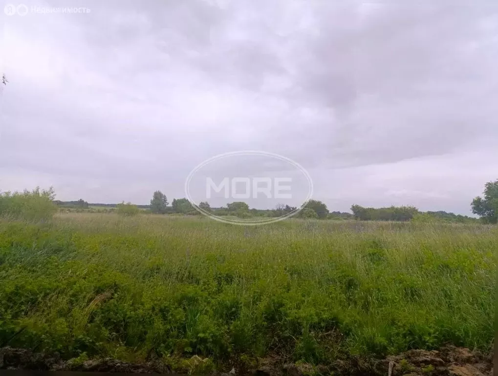 Участок в Калининградская область, Гурьевский муниципальный округ, ... - Фото 1