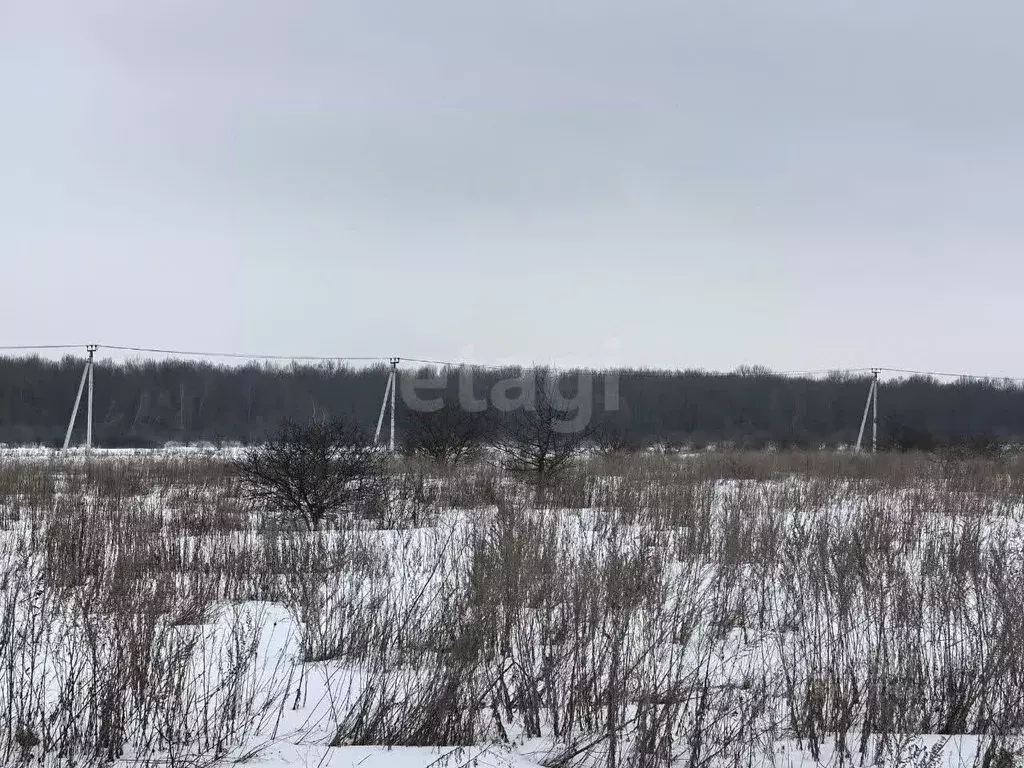 Участок в Курская область, Октябрьский район, Черницынский сельсовет, ... - Фото 1