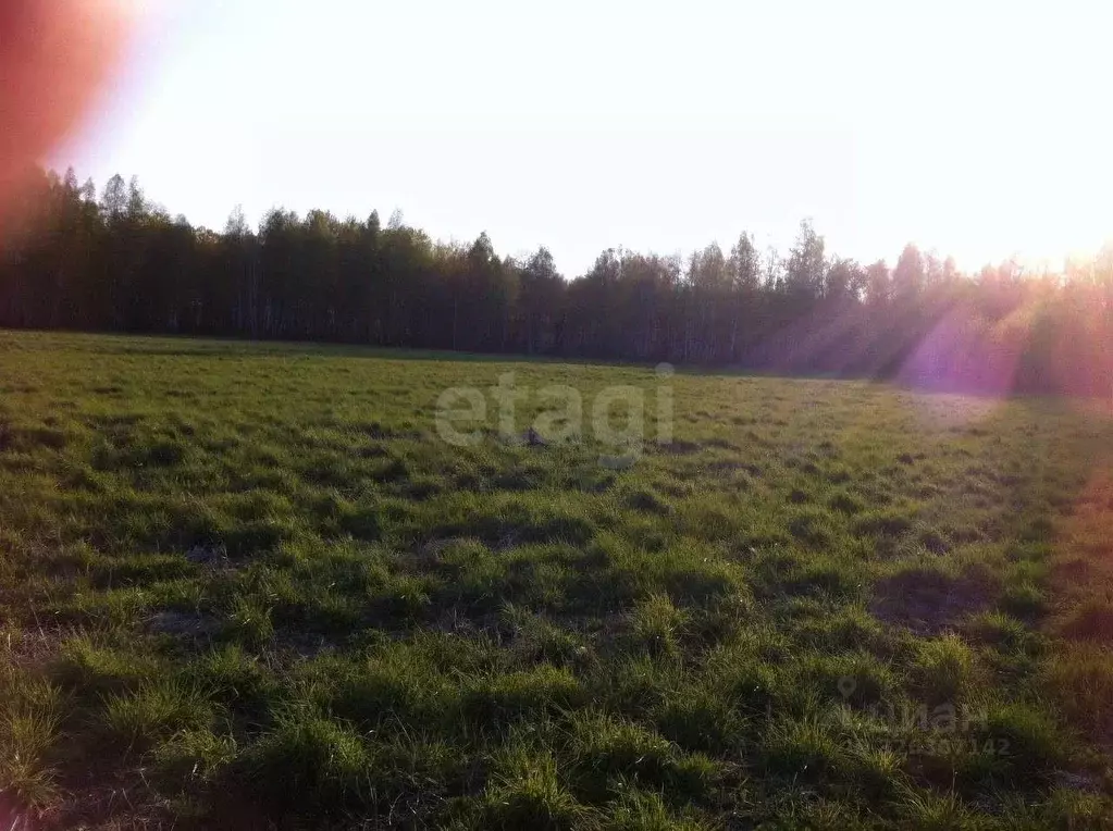 Участок в Тюменская область, Нижнетавдинский муниципальный округ, с. ... - Фото 1