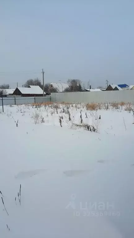Дом в Тюменская область, Тюменский муниципальный округ, с. Муллаши ул. ... - Фото 1
