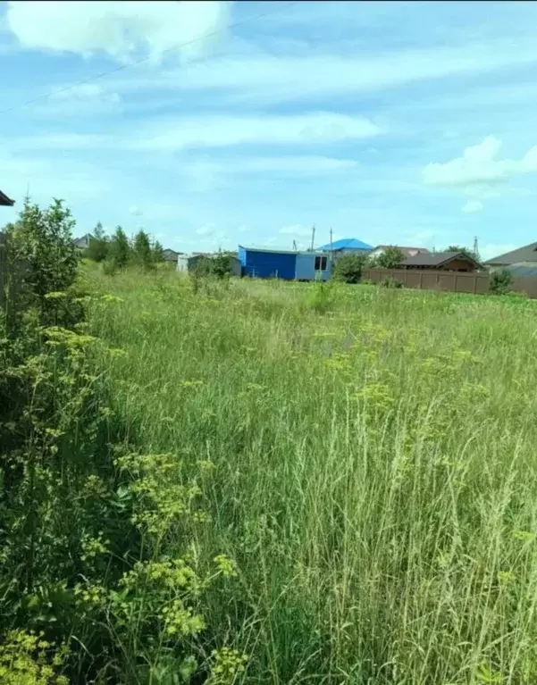 Участок в Псковская область, Псковский район, Логозовская волость, д. ... - Фото 2