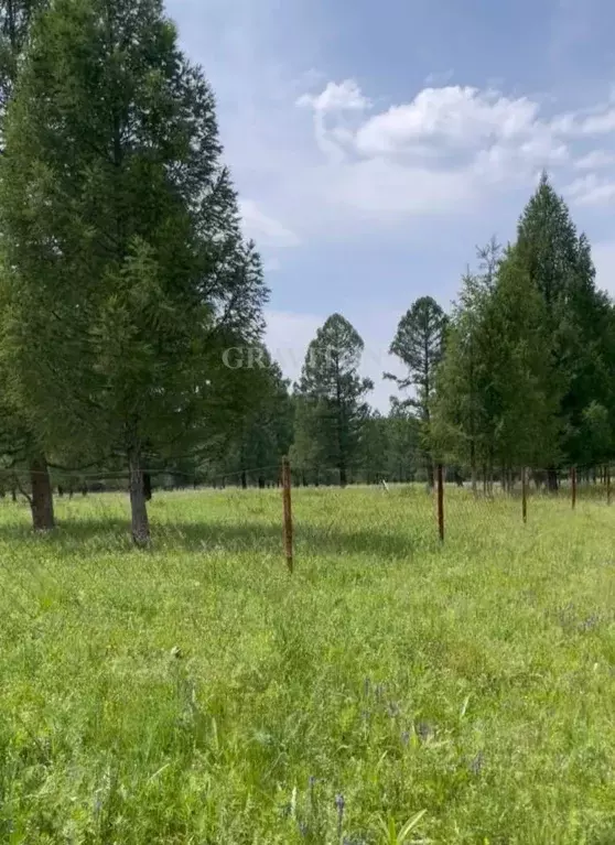 Участок в Алтай, Усть-Коксинский район, пос. Гагарка ул. Луговая ... - Фото 1