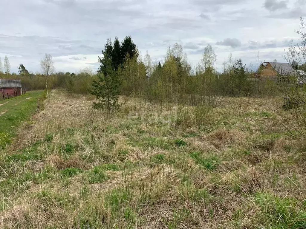 Участок в Коми, Сыктывдинский район, с. Выльгорт, Помидор СДТ проезд ... - Фото 1