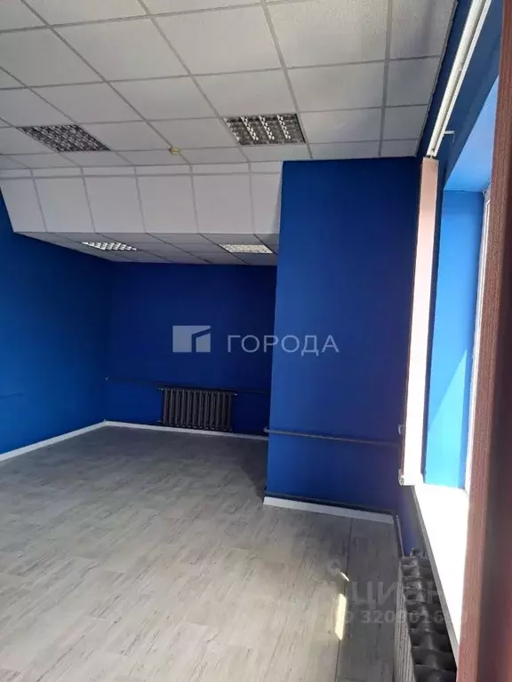 Офис в Новосибирская область, Новосибирск Нижегородская ул., 270/1 (41 ... - Фото 2