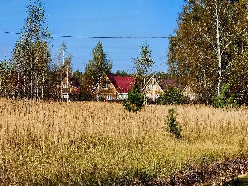 Участок в Владимирская область, Киржачский район, Першинское ... - Фото 1