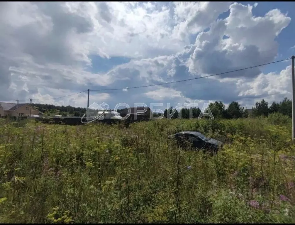 Участок в Тюменская область, Нижнетавдинский муниципальный округ, д. ... - Фото 1