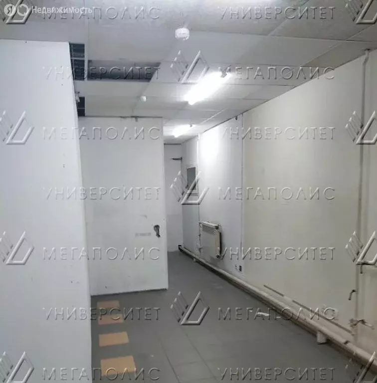 Помещение свободного назначения (127 м) - Фото 2