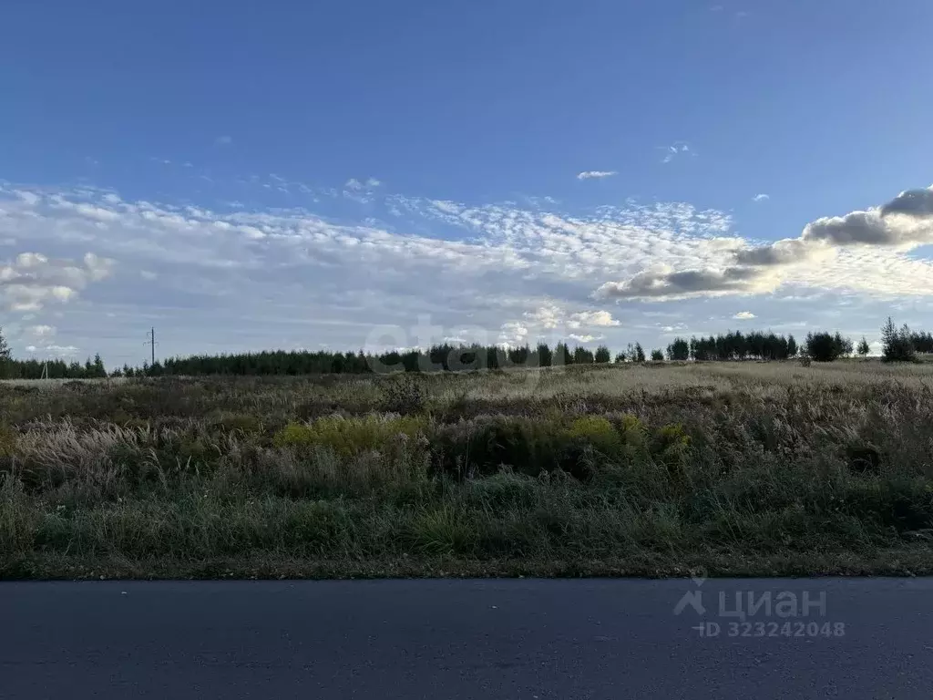 Участок в Брянская область, Брянский район, Глинищевское с/пос, с. ... - Фото 2