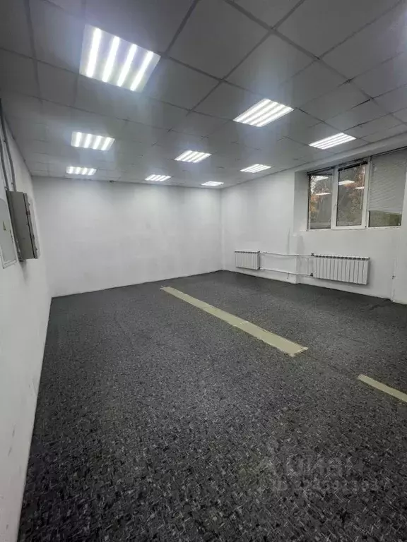 Помещение свободного назначения в Санкт-Петербург ул. Васи Алексеева, ... - Фото 2