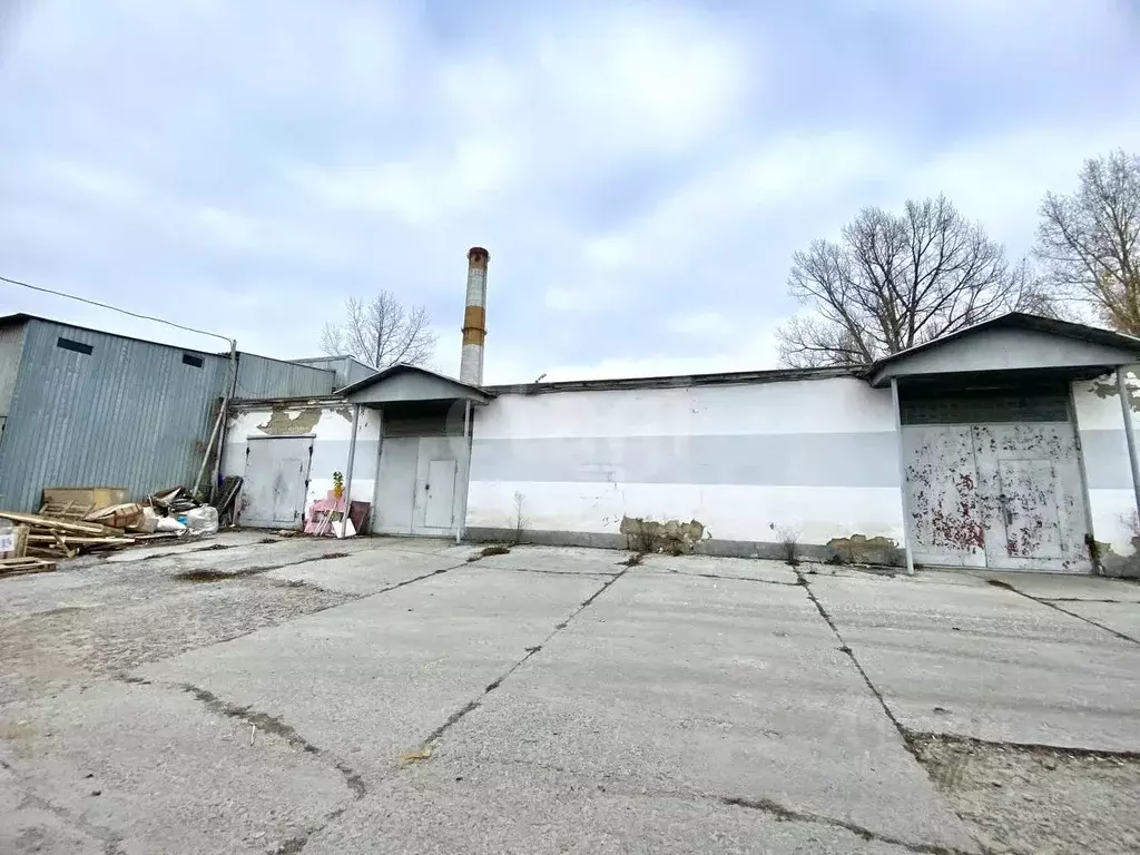 Торговая площадь в Белгородская область, Белгород Сумская ул., 44Д ... - Фото 2