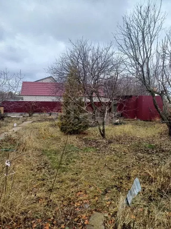 Участок в Воронежская область, Новоусманский район, с. Бабяково ... - Фото 1