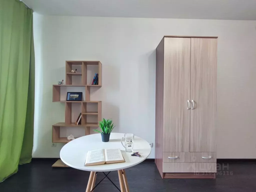 Студия Санкт-Петербург просп. Буденного, 23к1 (24.3 м) - Фото 1