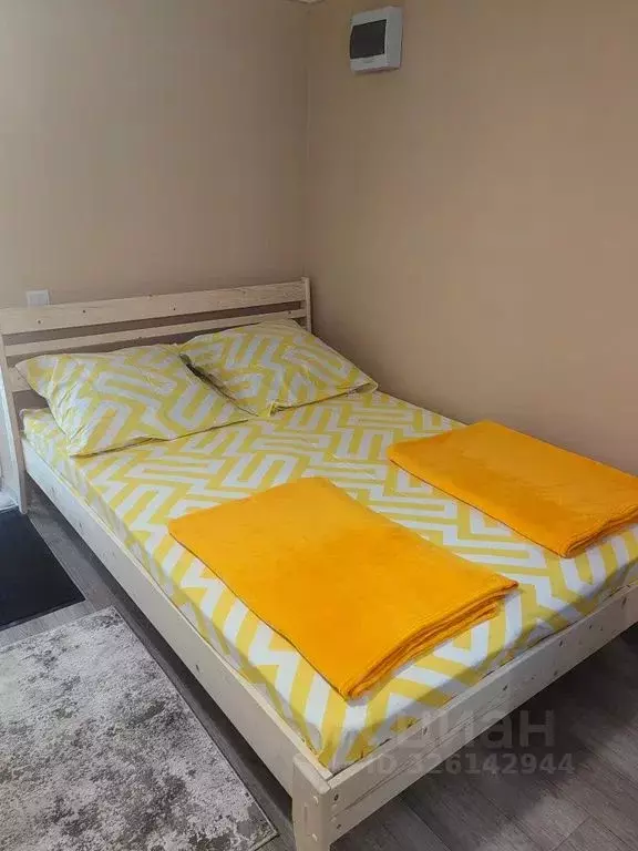 Дом в Воронежская область, с. Каширское ул. 60 лет ВЛКСМ, 9 (32 м) - Фото 1