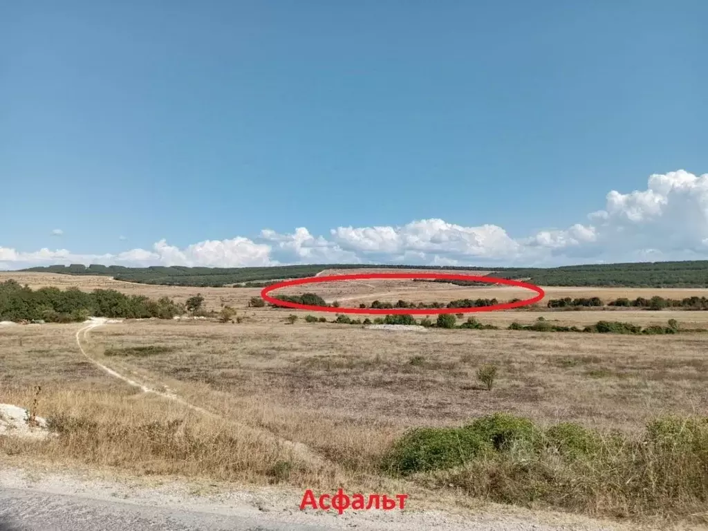 Участок в Севастополь Балаклавский р-н, Терновский муниципальный ... - Фото 2