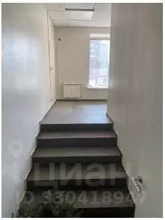 Помещение свободного назначения в Чувашия, Чебоксары ул. Мате Залка, ... - Фото 1